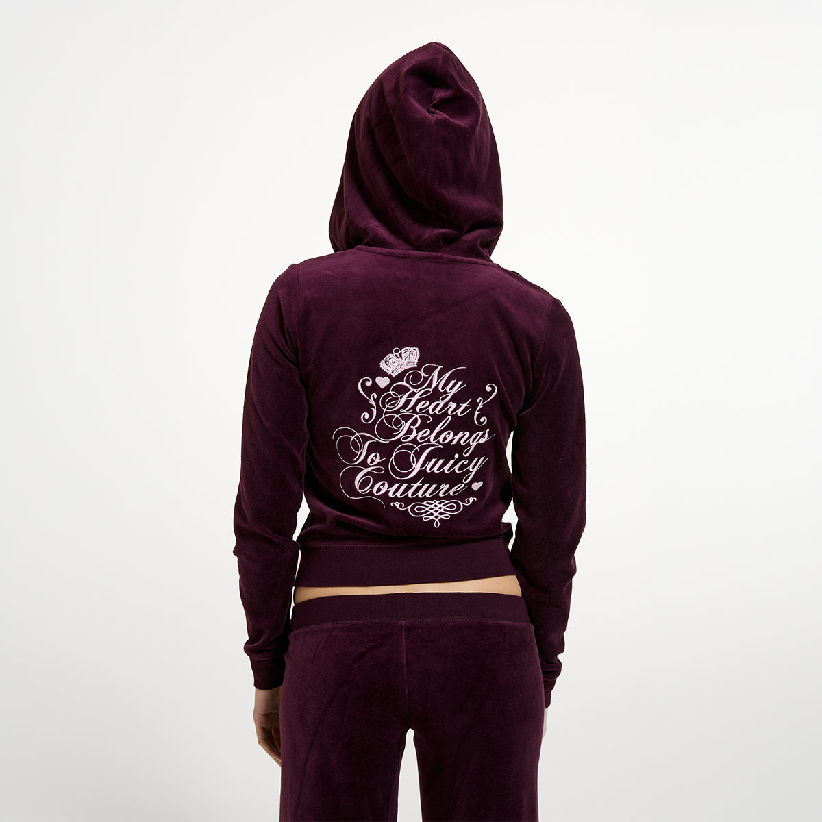 Script Robyn Hoodies
