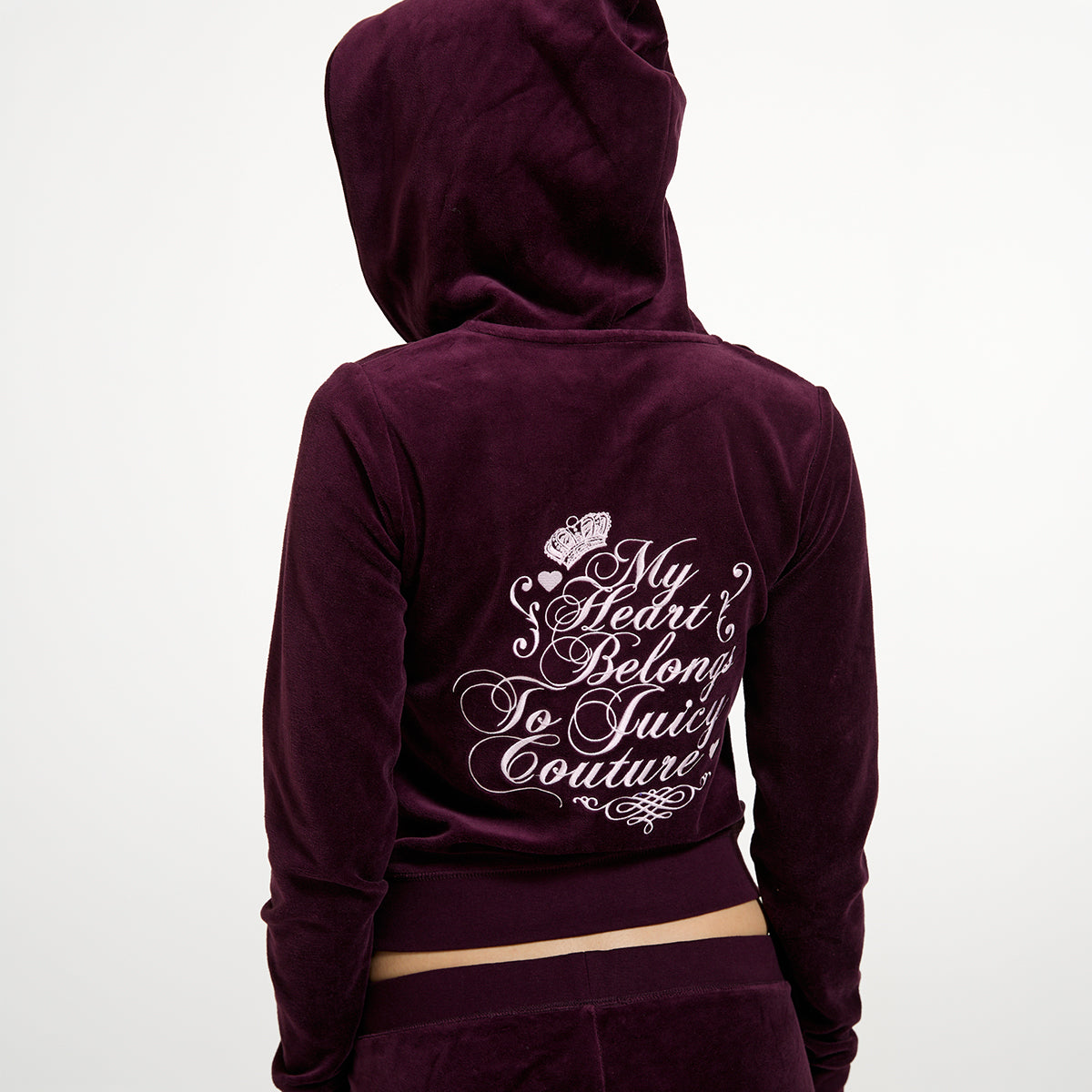 Script Robyn Hoodies